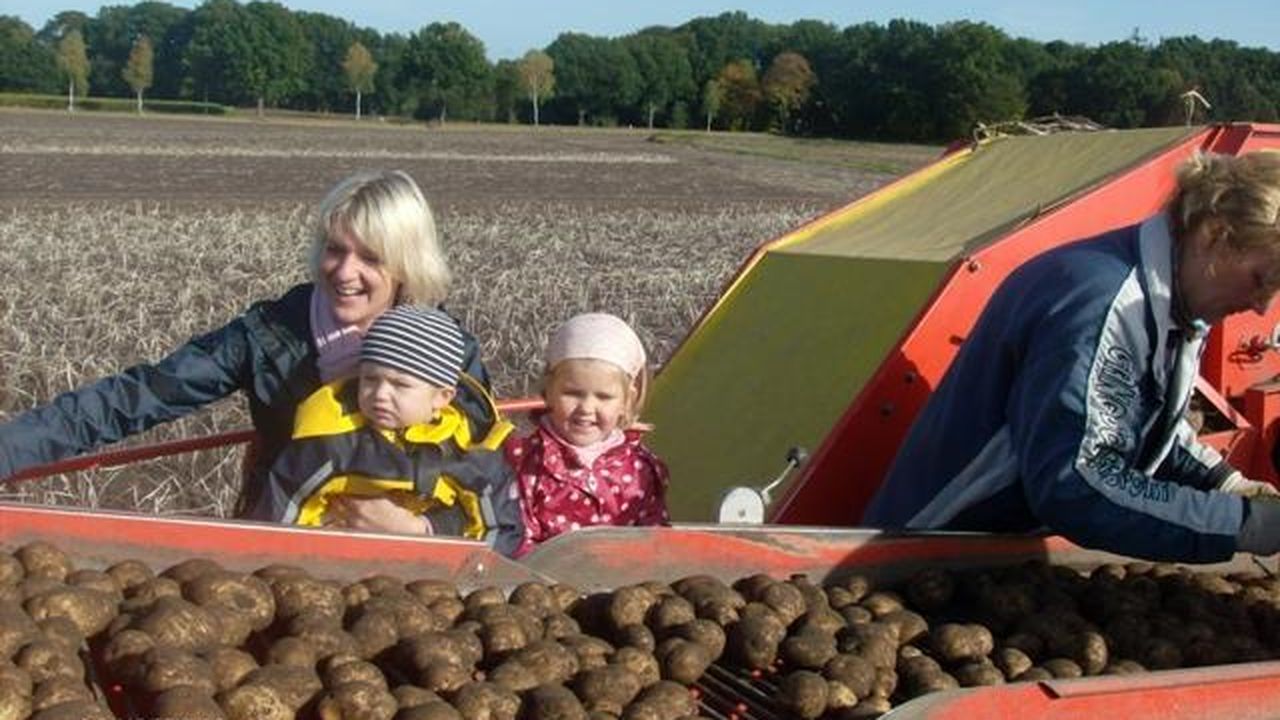 KartoffelnRoden KartoffelnRoden